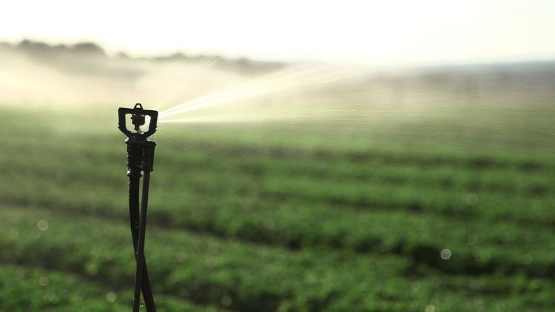 agricultura